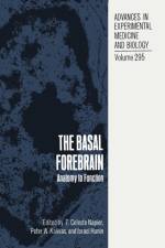 Basal Forebrain