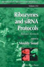 Ribozymes and siRNA protocols