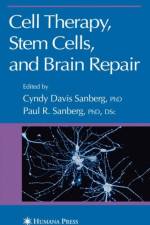Cell Therapy, Stem Cells and Brain Repair