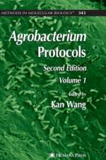 Agrobacterium Protocols