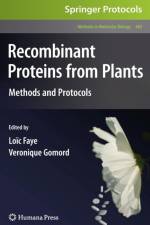 Recombinant Proteins From Plants