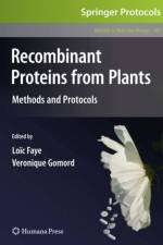 Recombinant Proteins From Plants
