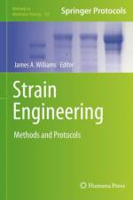 Strain Engineering