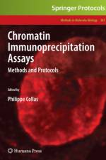 Chromatin Immunoprecipitation Assays