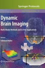 Dynamic Brain Imaging