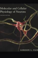 Molecular and Cellular Physiology of Neurons af Gordon L. Fain