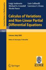 Calculus of Variations and Nonlinear Partial Differential Equations af Luigi Ambrosio
