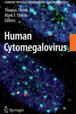Human Cytomegalovirus