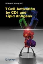 T Cell Activation by CD1 and Lipid Antigens