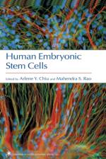 Human Embryonic Stem Cells