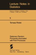Stationary Random Processes Associated with Point Processes af Tomasz Rolski
