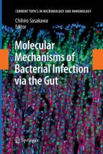 Molecular Mechanisms of Bacterial Infection via the Gut