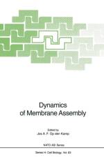 Dynamics of Membrane Assembly