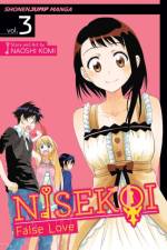 Nisekoi: False Love, Vol. 3 af Naoshi Komi