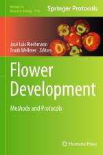 Flower Development