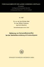 Beheizung Von Horizontalkammeroefen Bei Der Steinkohlenverkokung Mit Austauschgasen af Kurt-Gunther Beck