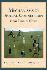 Mechanisms of Social Connection
