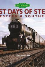 Last Days of Steam Western & Southern af Tony Butcher
