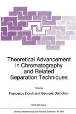 Theoretical Advancement in Chromatography and Related Separation Techniques
