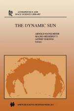 Dynamic Sun