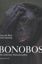 Bonobos