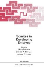 Somites in Developing Embryos af Ruth Bellairs