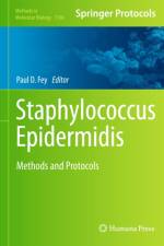 Staphylococcus Epidermidis