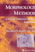 Morphology Methods