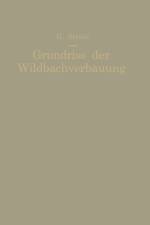 Grundriss Der Wildbachverbauung af Georg Strele