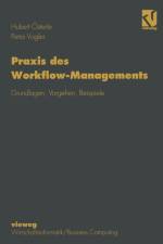 Praxis des Workflow-Managements