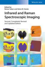 Infrared and Raman Spectroscopic Imaging af R Salzer