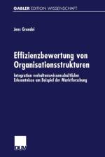 Effizienzbewertung Von Organisationsstrukturen