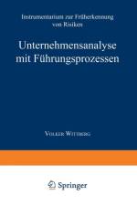 Unternehmensanalyse Mit Fuhrungsprozessen