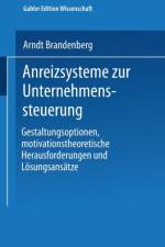 Anreizsysteme Zur Unternehmenssteuerung af Arndt Brandenberg