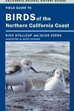 Field Guide to Birds of the Northern California Coast af Rich Stallcup