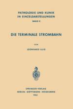 Die Terminale Strombahn af L Illig