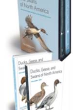 Ducks, Geese, and Swans of North America af Guy (c/o Eileen Baldassarre) Baldassarre