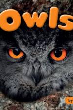 Owls af Anne Giulieri