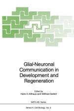 Glial-Neuronal Communication in Development and Regeneration