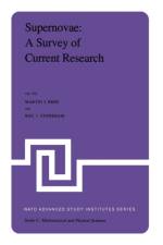 Supernovae: A Survey of Current Research