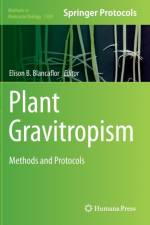 Plant Gravitropism