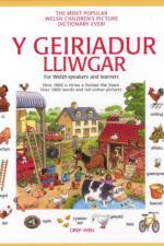 Geiriadur Lliwgar, Y
