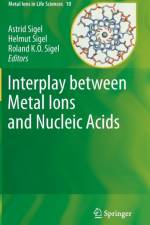 Interplay between Metal Ions and Nucleic Acids