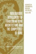 Noninvasive Assessment of Trabecular Bone Architecture and The Competence of Bone