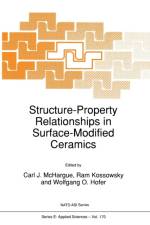 Structure-Property Relationships in Surface-Modified Ceramics