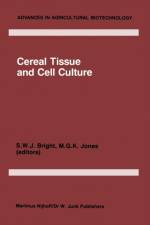 Cereal Tissue and Cell Culture