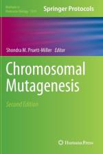 Chromosomal Mutagenesis