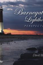 Barnegat Lighthouse Perspectives af David Biggy