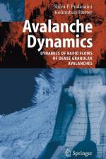 Avalanche Dynamics af Kolumban Hutter