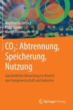 CO2: Abtrennung, Speicherung, Nutzung